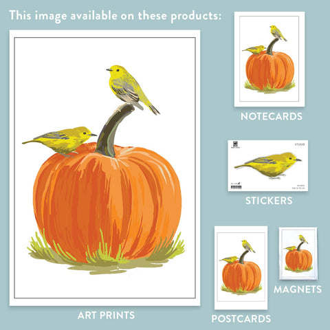 RBI-40 Warblers & Pumpkin