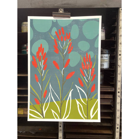 RFL-306 Indian Paintbrush