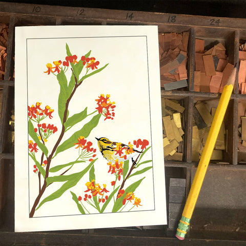 RBI-218 Milkweed & Warbler