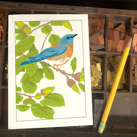 RBI-104 Bluebird & Live Oak
