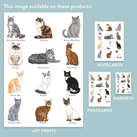RAN-45 Cat Breeds