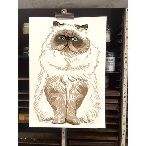 RAN-40 Persian Cat