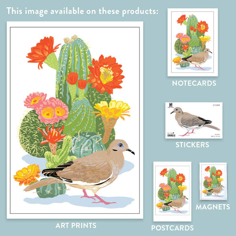 RBI-9154 White Wing Dove