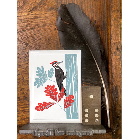 RBI-192 Pileated Woodpecker and Oak