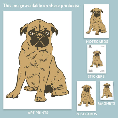 RAN-70 Pug Puppy