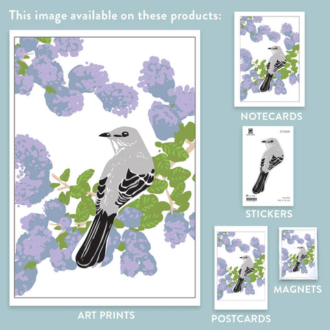 RBI-208 Mockingbird & Ceanothus