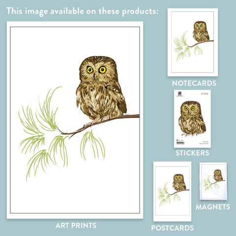 RBI-30 Saw-Whet Owl