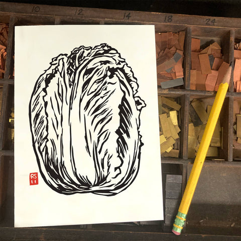 RFM-527 Napa Cabbage