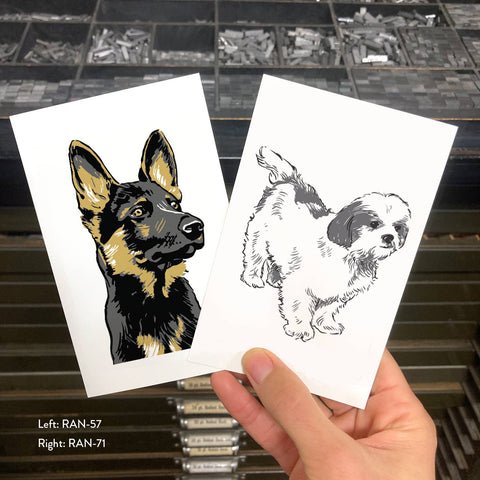 RAN-57 German Shepherd 2