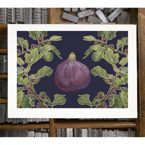 RFM-431 Fig Tree
