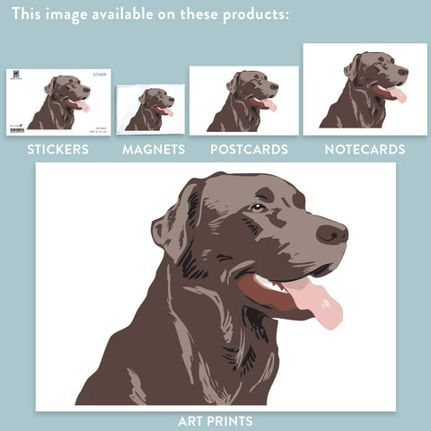 RAN-63 Labrador Retriver, Chocolate