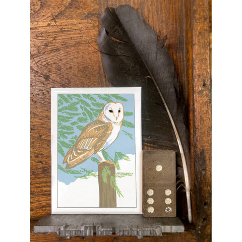 RBI-102 Barn Owl in Redwood