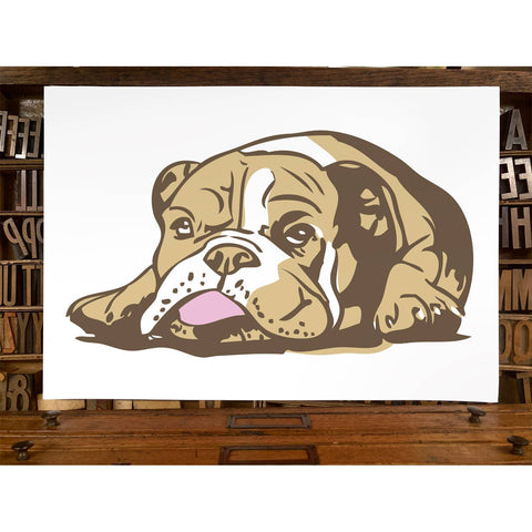 RAN-31 Bulldog, Brown