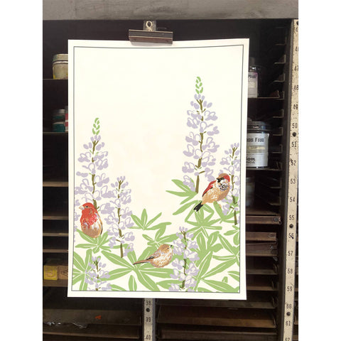 RBI-107 Songbirds & Lupines