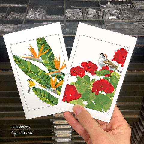 RBI-232 Chipping Sparrow and Geranium