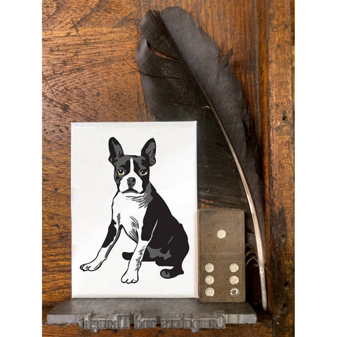 RAN-49 Boston Terrier 1