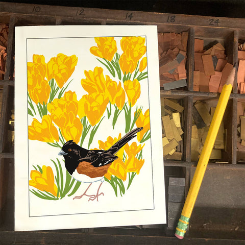RBI-214 Towhee & Crocus