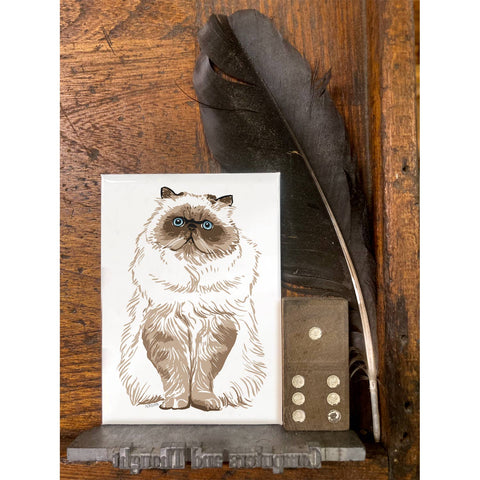 RAN-40 Persian Cat