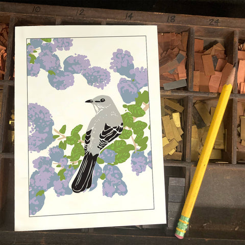 RBI-208 Mockingbird & Ceanothus