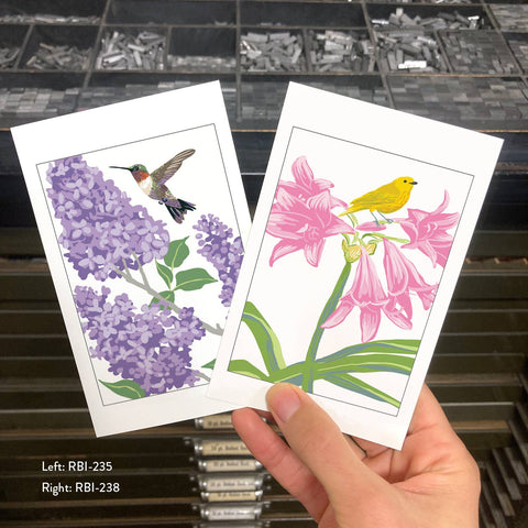 RBI-235 Hummingbird and Lilac