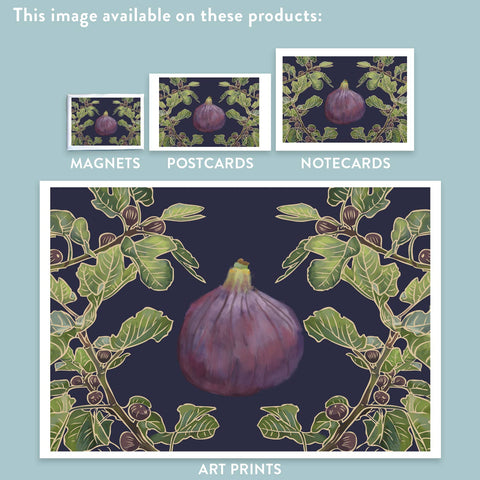 RFM-431 Fig Tree