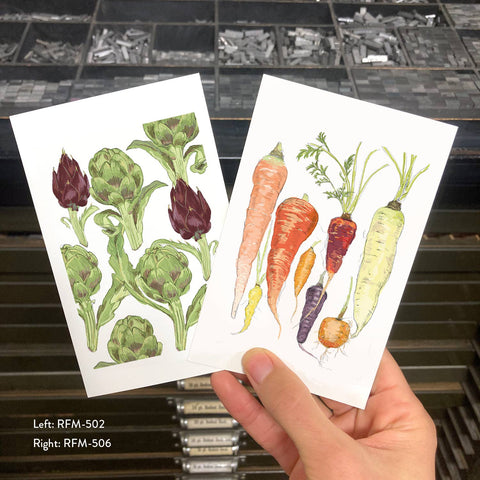 RFM-502 Artichokes