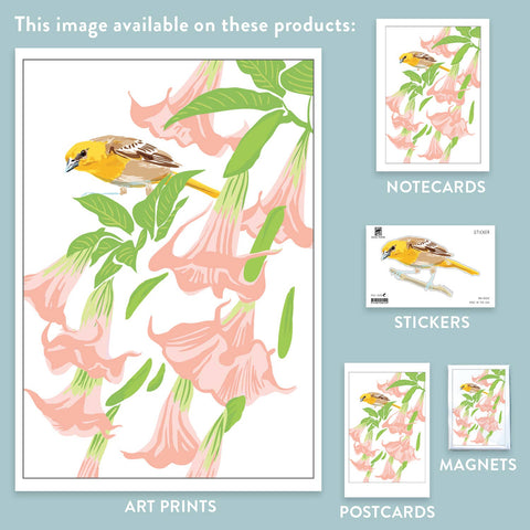 RBI-210 Oriole & Brugmansia