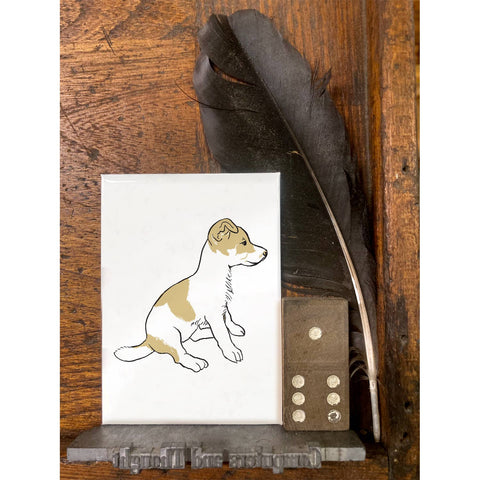 RAN-61 Jack Russell Puppy
