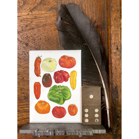 RFM-507 Big Tomatoes
