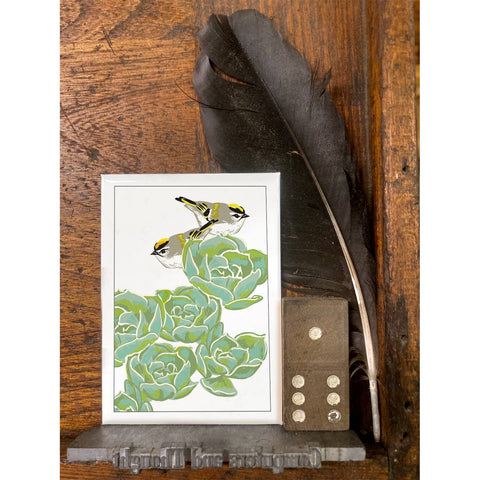 RBI-121 Golden-Crowned Kinglet & Succulents