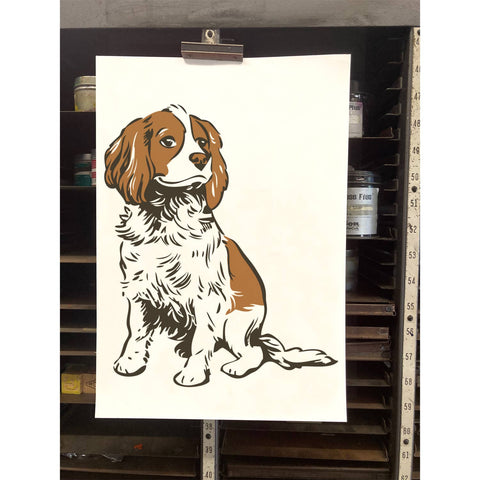 RAN-62 Cavalier King Charles Spaniel