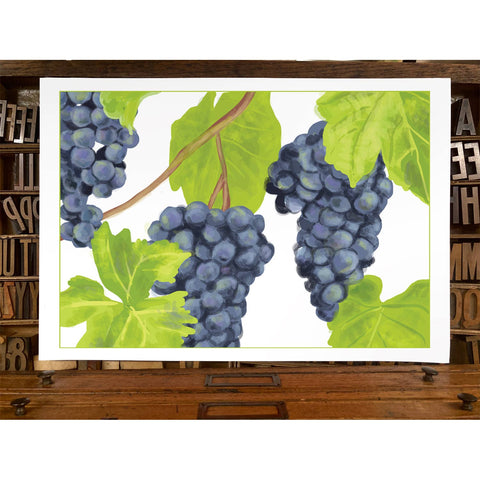 RFM-178 Grapes