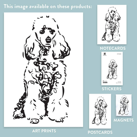 RAN-69 Poodle, White