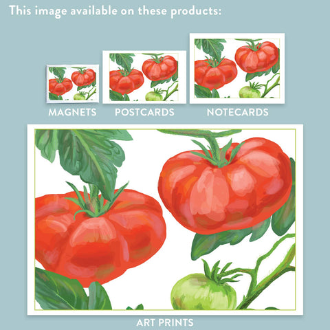 RFM-177 Tomatoes