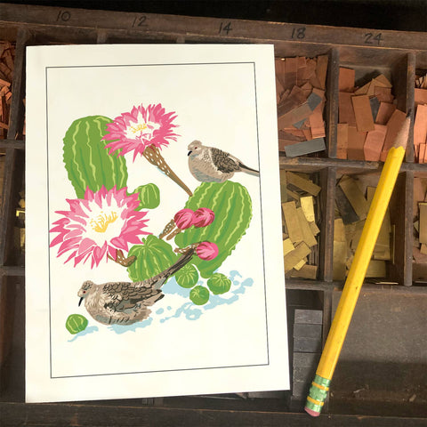 RBI-190 Inca Dove and Cactus
