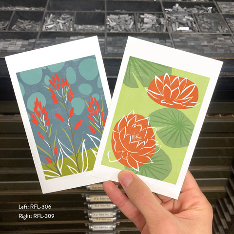 RFL-306 Indian Paintbrush