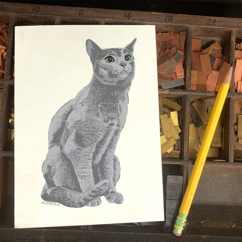 RAN-38 Russian Blue Cat