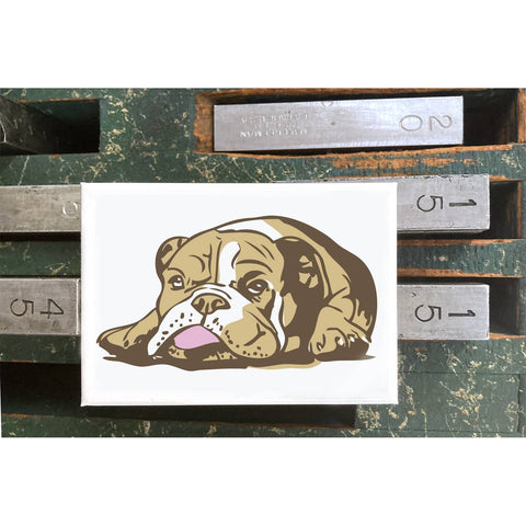RAN-31 Bulldog, Brown