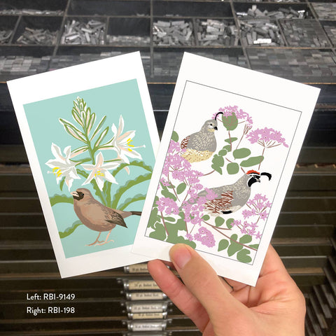 RBI-9149 Aberts Towhee and Desert Lily