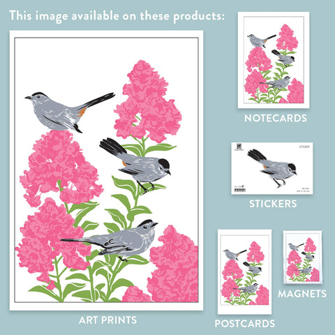 RBI-189 Gray Catbirds and Crepe Myrtle