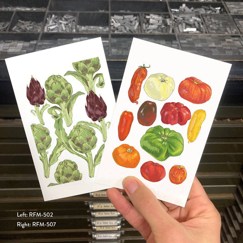 RFM-507 Big Tomatoes