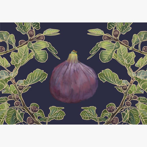RFM-431 Fig Tree