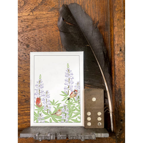 RBI-107 Songbirds & Lupines