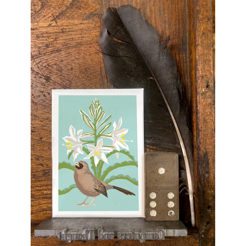 RBI-9149 Aberts Towhee and Desert Lily