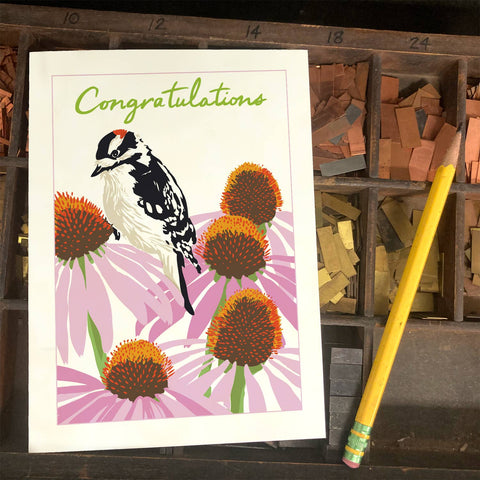 RCO-219 Downy Woodpecker & Coneflower - Congratulations