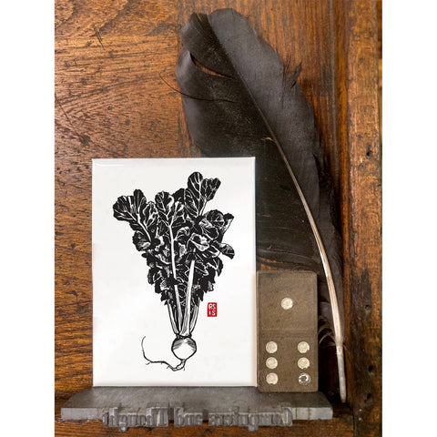 RFM-530 Round Daikon