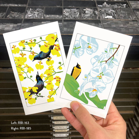 RBI-185 Orchid and Hooded Warbler