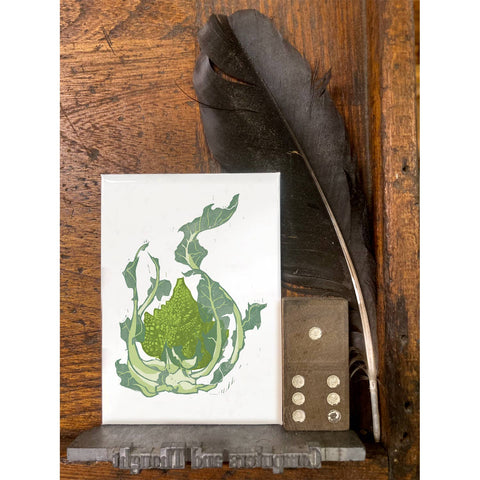 RFM-513 Romanesco
