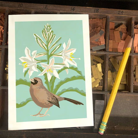 RBI-9149 Aberts Towhee and Desert Lily