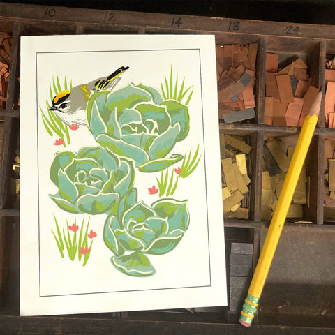 RBI-114 Golden-Crowned Kinglet and Succulents